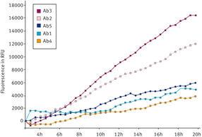 Promotion of Aggregation as a Means of Assessing the Stability of Antibody Molecules