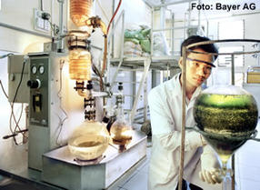 synthese2