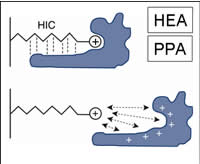 pall-chrom-3b