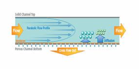 postnova-fff-image-6