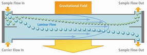 postnova-fff-image-15