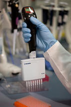 2_Gilsonpipettieren2