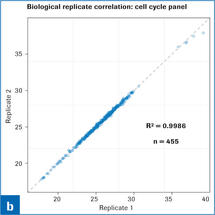 RealTime ready RT-qPCR Assay Development and Qualification