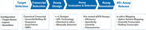RealTime ready qPCR Assay Design and Configuration Portal Content