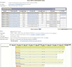 RealTime ready qPCR Assay Design and Configuration Portal Content