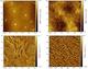 Millionen-Förderung für Polymer-Forschung 