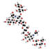 hexasaccharide