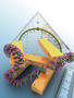 Dreidimensionales Plasmonenlineal zum Vermessen von Zellkernen