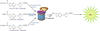 Proteasom-Aktiviät