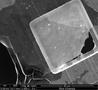Giant flakes make graphene oxide gel_1