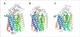  Respiration enzymes