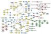 Rice grain metabolites