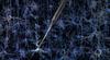 Hollow glass pipette in contact with the cell membrane