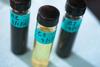 Using graphene, scientists develop a less toxic way to rust-proof steel_2