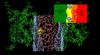 Molekulardynamik Simulation eines Protons