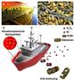 Inspired by nature: Paints and coatings containing bactericidal agent nanoparticles combat marine fouling