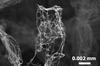 Scientists from Northern Germany Produce the Lightest Material in the World_1