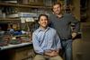 Stress fuels breast cancer metastasis to bone