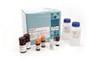 Enhanced Endotoxin Detection in pharmaceuticals and for medical device testing