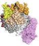 A macromolecular shredder for RNA