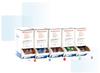 Easily Lyse your Toughest, Hardest and Most Difficult Samples