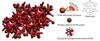 Stanford scientists create novel silicon electrodes that improve lithium-ion batteries
