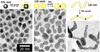 Planting the seeds for nanoparticle growth