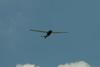 NRLs Ion Tiger sets 26hour flight endurance record