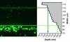 NIST nanofluidic multi-tool separates and sizes nanoparticles