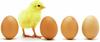 foodproof® Salmonella